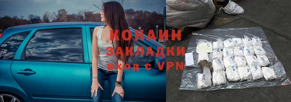 соль ск Новодвинск