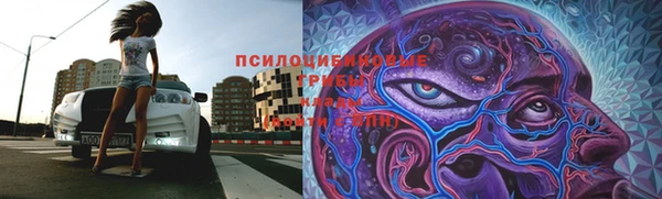 соль ск Новозыбков