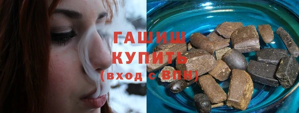 соль ск Новозыбков