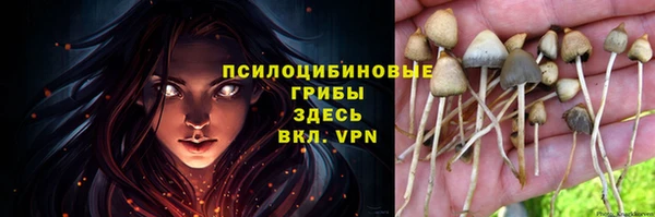 кокаин премиум Няндома