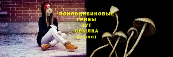 соль ск Новозыбков