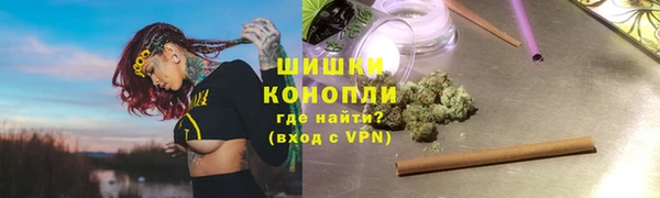соль ск Новозыбков