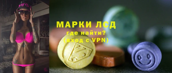 соль ск Новозыбков