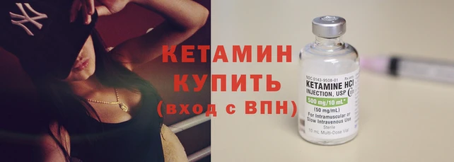 соль ск Новозыбков