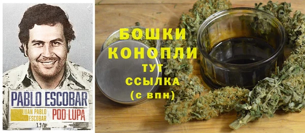 соль ск Новозыбков