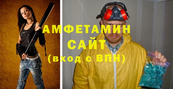соль ск Новозыбков