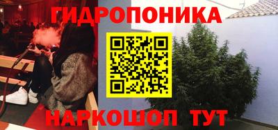прущие крисы Татарск