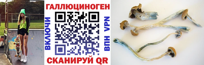Галлюциногенные грибы прущие грибы  купить наркотик  Партизанск 